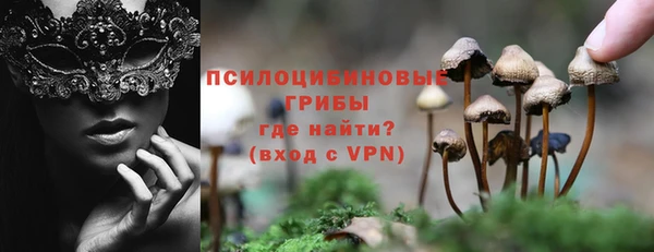 амфетамин Каменногорск