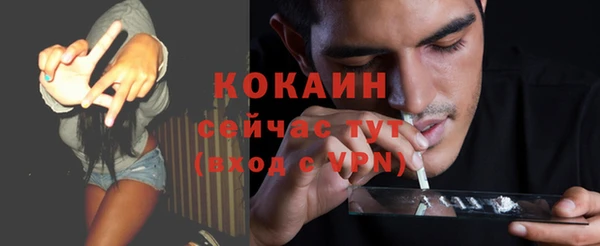 apvp Каменка