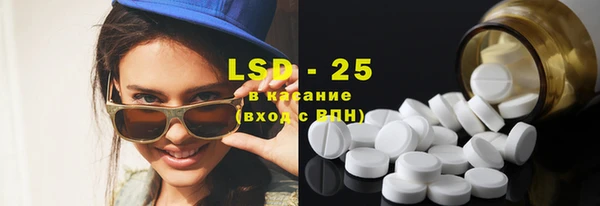apvp Каменка