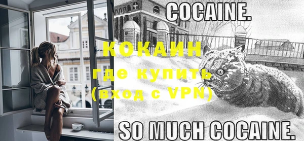 apvp Каменка