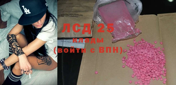 apvp Каменка