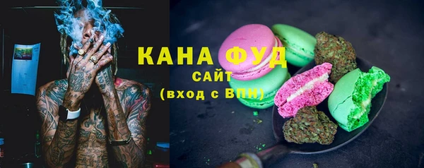 apvp Каменка