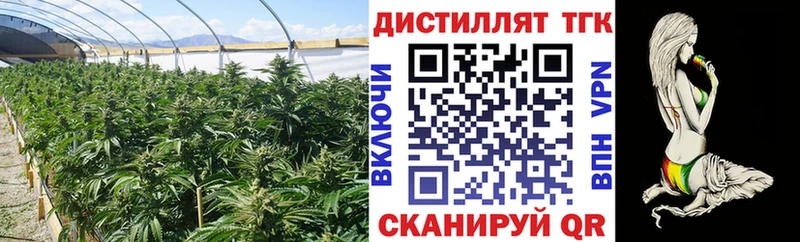 Купить где  Малгобек  Дистиллят ТГК вейп 