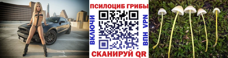 Галлюциногенные грибы MAGIC MUSHROOMS  Купить где  Малгобек 