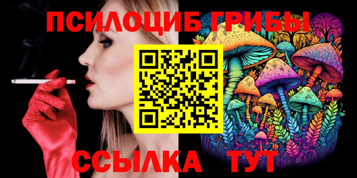 Галлюциногенные грибы Psilocybine cubensis Малгобек