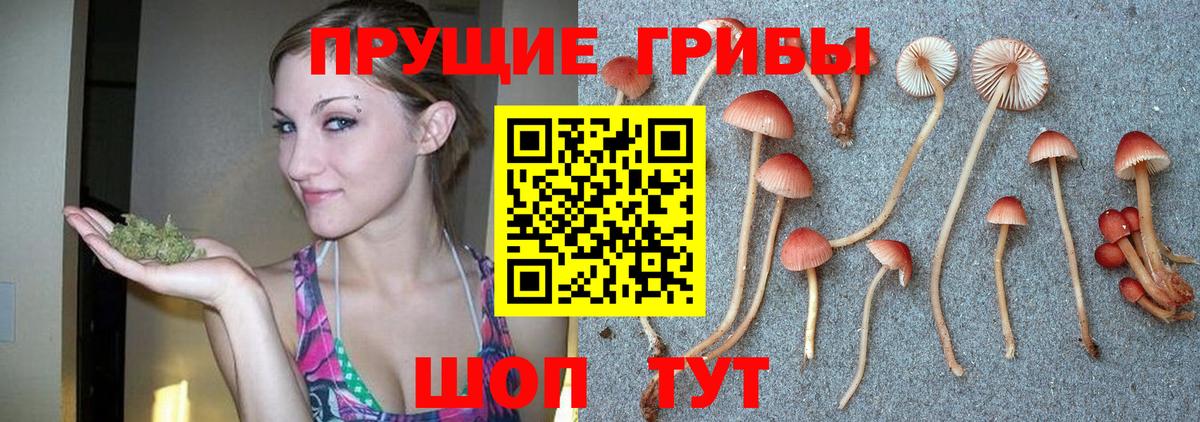 Галлюциногенные грибы MAGIC MUSHROOMS  Вход с VPN  Псилоцибиновые грибы Cubensis  Малгобек 